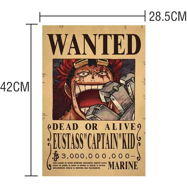 One piece Poster WANTED